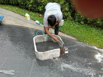 Img 2